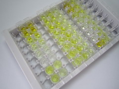 ELISA Kit for Thyroid Stimulating Hormone (TSH)