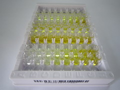 ELISA Kit for Immunoglobulin G (IgG)