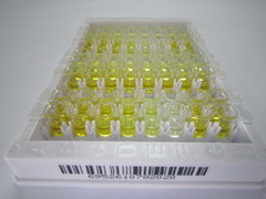 ELISA Kit for Immunoglobulin G (IgG)