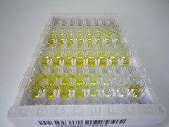 ELISA Kit for Immunoglobulin G (IgG)