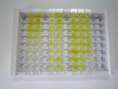 ELISA Kit for Immunoglobulin G (IgG)