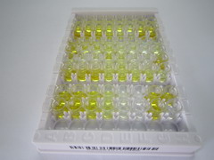 ELISA Kit for Motilin (MTL)