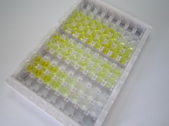 ELISA Kit for Somatostatin (SST)