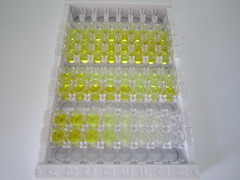 ELISA Kit for Malondialdehyde (MDA)