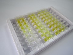 ELISA Kit for Orexin A (OXA)