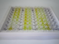 ELISA Kit for Orexin A (OXA)