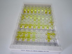 ELISA Kit for Prostaglandin H2 (PGH2)