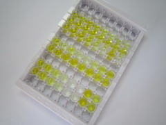 ELISA Kit for Cross Linked C-Telopeptide Of Type I Collagen (CTXI)