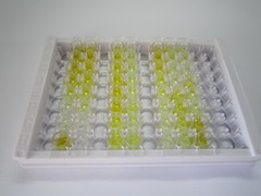 ELISA Kit for Cross Linked C-Telopeptide Of Type II Collagen (CTXII)