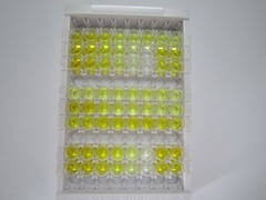 ELISA Kit for Prostacyclin (PGI2)