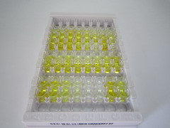 ELISA Kit for Inhibin B (INHB)