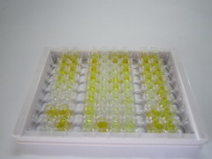 ELISA Kit for Neuropeptide S (NPS)