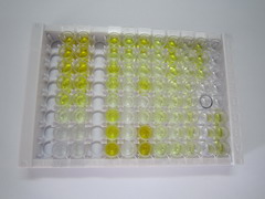 ELISA Kit for Follicle Stimulating Hormone (FSH)