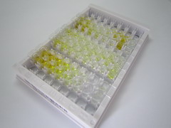 ELISA Kit for Von Willebrand Factor (vWF)