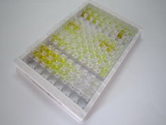 ELISA Kit for Corticotropin Releasing Factor (CRF)