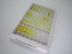 ELISA Kit for Adrenocorticotropic Hormone (ACTH)