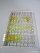 ELISA Kit for Thyrotropin Releasing Hormone (TRH)