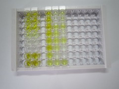 ELISA Kit for Prolactin (PRL)