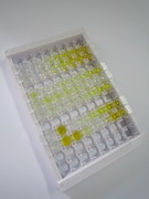 ELISA Kit for Prolactin (PRL)