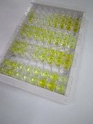 ELISA Kit for Parathyroid Hormone (PTH)