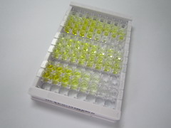 ELISA Kit for Parathyroid Hormone (PTH)