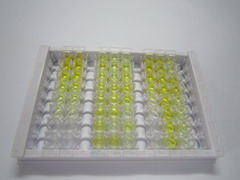 ELISA Kit for Calcitonin Gene Related Peptide (CGRP)