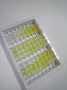 ELISA Kit for Neuropeptide Y (NPY)