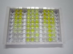 ELISA Kit for Neuropeptide Y (NPY)