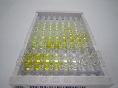 ELISA Kit for Gastric Inhibitory Polypeptide (GIP)