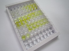 ELISA Kit for Beta-Crosslaps (bCTx)