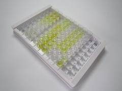 ELISA Kit for Beta-Crosslaps (bCTx)