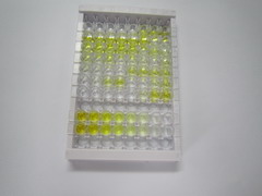 ELISA Kit for Aldosterone (ALD)