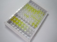 ELISA Kit for 25-Hydroxyvitamin D3 (HVD3)