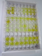 ELISA Kit for Vitamin D2 (VD2)