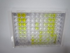 ELISA Kit for Alpha-Tocopherol (TCPa)