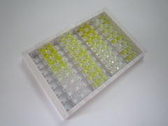 ELISA Kit for Aprotinin (AP)