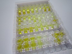 ELISA Kit for Aprotinin (AP)