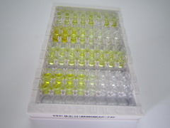 ELISA Kit for Ghrelin (GHRL)