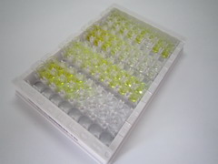 ELISA Kit for Ghrelin (GHRL)