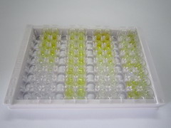 ELISA Kit for Ghrelin (GHRL)