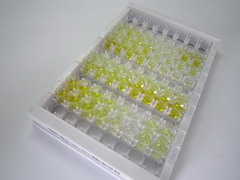 ELISA Kit for 5-Hydroxyindoleacetic Acid (5-HIAA)