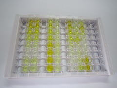 ELISA Kit for Neuromedin U (NMU)