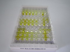 ELISA Kit for Albumin (ALB)