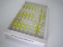 ELISA Kit for Albumin (ALB)