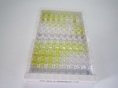 ELISA Kit for Cholecystokinin 8 (CCK8)