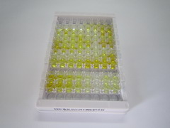 ELISA Kit for Secretin (SCT)