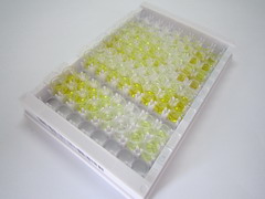 ELISA Kit for Secretin (SCT)