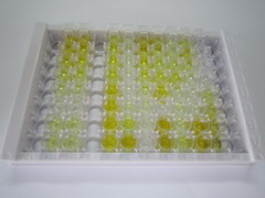 ELISA Kit for Galanin (GAL)