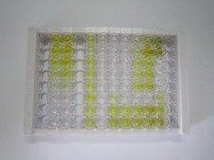 ELISA Kit for Arachidonic Acid (AA)