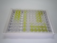 ELISA Kit for Antidiuretic Hormone (ADH)